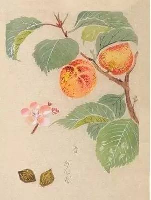 绝句宋志南朗读_绝句志南赏析_绝句宋志南朗读