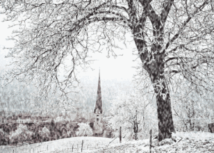 湖北多地迎鸡年首雪,武汉人遇到的一定是假天气!