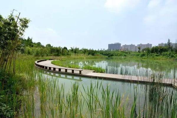 蔡甸区 洪山区 8,武汉严西湖湿地生态园 9,武汉东湖国家湿地公园