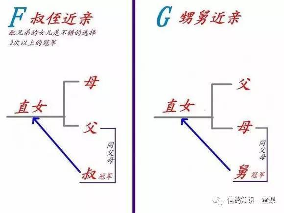 回血公式,来自鸽友的整理,值得学习!