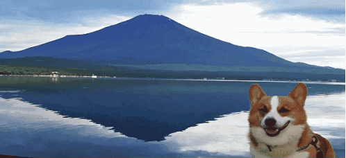 以下是小编为大家挑选的2017年最火的微信,不同类型,不同内容,希望给