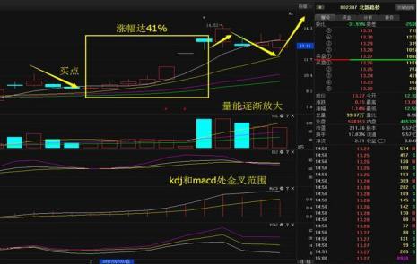 好了,言归正传,今天为大家分享这支票——北新路桥(002307)