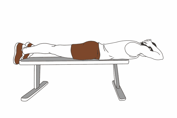 【健身】打造黄金倒三角,让你的背不再难看——背阔肌