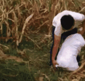 283_270gif 动态图 动图