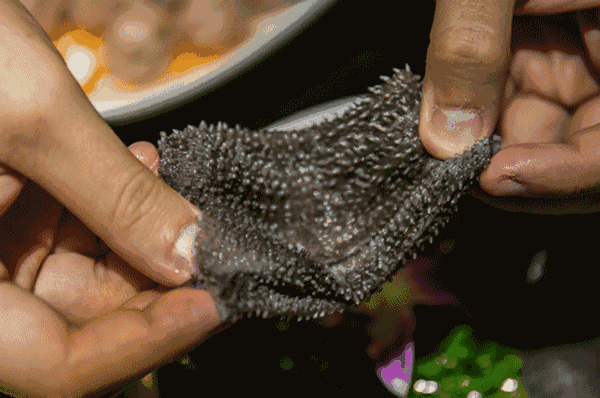 天津这家火锅店这么