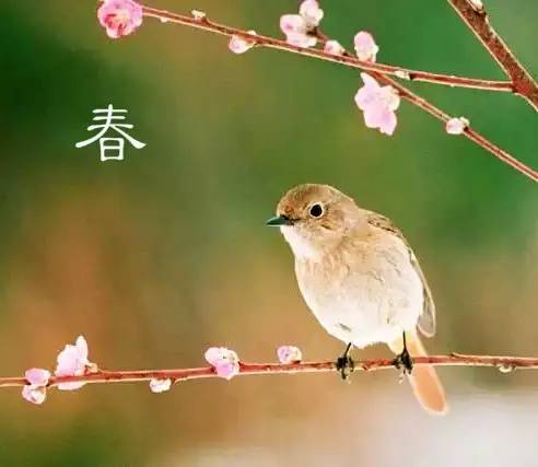 春望江南笛子曲谱_春望杜甫(3)