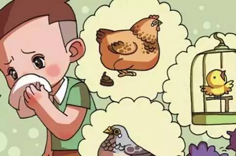 又有种禽流感来了!如何保护我们的孩子?
