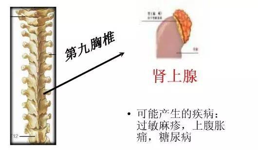 成语十什么如椎_成语故事简笔画(3)