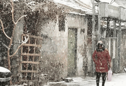 北京终于下雪了,美爆了朋友圈!