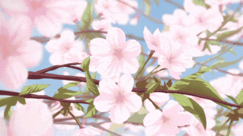 春风十里,自驾游度假