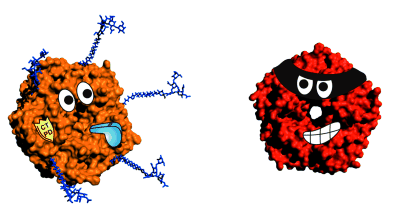 梦之谜语，解读梦见蜘蛛在身上的深层含义与心理暗示