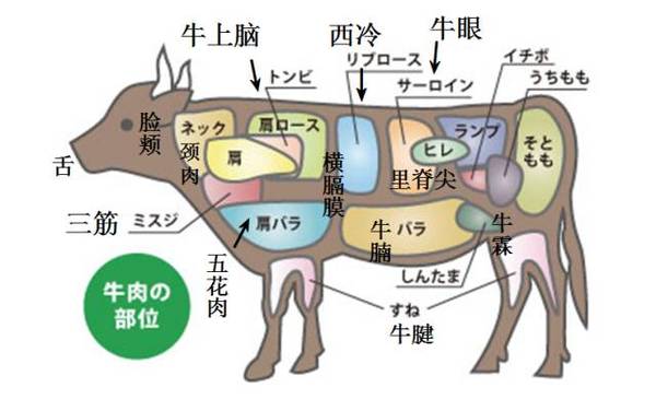 百叶是牛的胃,黄喉又是哪里?上脑呢?牛眼呢?三筋呢?