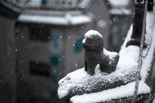 你可能遇到了假春天 朋友圈大雪纷飞
