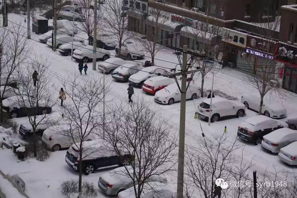 大雪 大风,沈阳这场雪下得很认真!