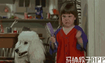 今日爆笑gif:那眼神告诉我,要搞事情了!-笑话频道