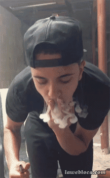 全平台动图首发 10000张2b,恶搞,傻缺,内涵,美女,萌宠动态图一次看个