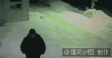 爆笑gif:活生生地输在起跑线上啊!