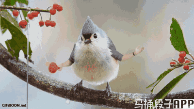 最后那只小企鹅你是穿了溜冰鞋吗 每日一波搞笑动图,只有你想不到,没