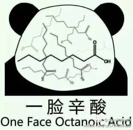 用一个表情包形容你的专业!笑到肚子疼!