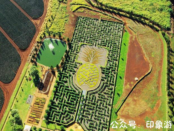 电脑上wap网:这么恐怖的迷宫,你敢一个人进去吗?-旅游频道-手机搜狐