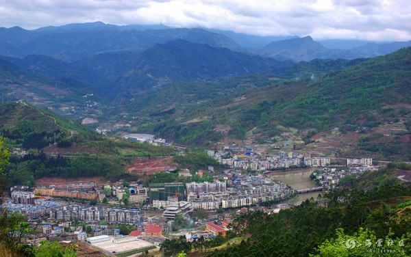 和马边县城一样, 雅安名山区,芦山县及眉山,宜宾等盛产乌木之地,市场