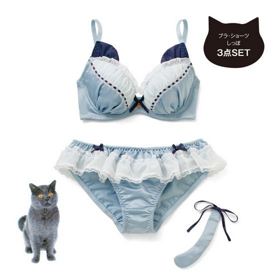 今晚的战斗服你选性感英短or甜美暹罗?猫咪内衣