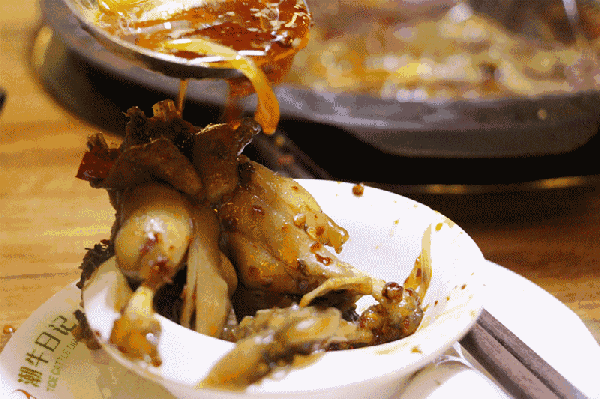 火爆上海的美蛙火锅来金华了!