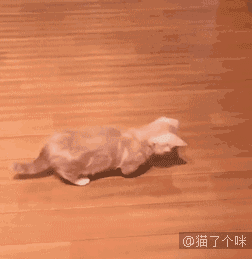 [邪恶]臭流氓 你为什么要摸我的胸呀