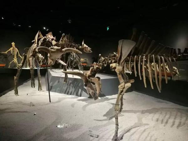 什么龟成鳖成语_翕中之鳖成语图