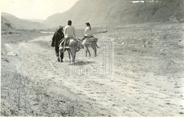 (农家乐) (婆媳骑着毛驴赶集去) (边走边学,渴望"财神"早进家) (街头