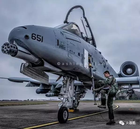 【a-10雷电ii攻击机】这只疣猪真心很帅