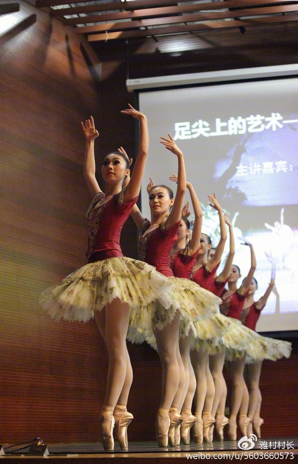 著名芭蕾舞演员,广州芭蕾舞团团长张丹丹在雅村做讲座时,不仅带来40多