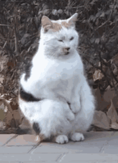 你的小内内够换吗?