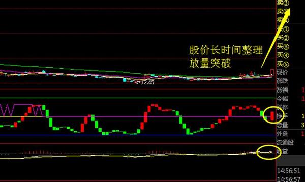 "出水芙蓉"出世,主力逾39亿资金疯狂杀入,必爆