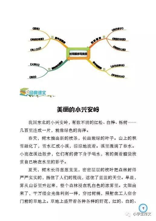 思维导图构思作文(3年级下册)