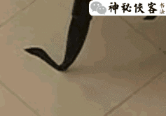 1.关注微信公众号:神秘侠客  2.回复:欧体基本笔画