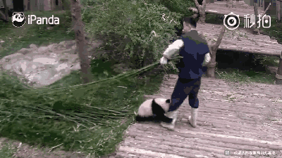 一段抱大腿的视频仅57秒,这两天播放超1亿次,圈粉无数