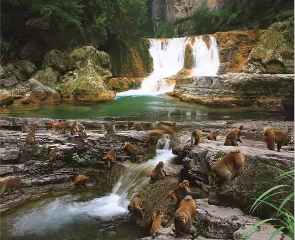 再过几天,山西这些旅游景点都免费啦!