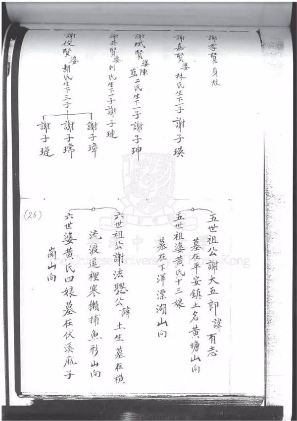 禅宗脊|1956年的谢氏族谱,珍藏版.