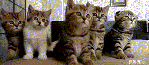 简直太形象～笑喷了-笑话