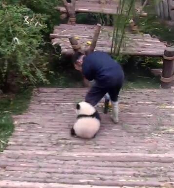 抱大腿抱成亿万级国际网红,中国现在最火的居然是她