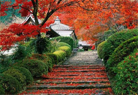 地址 海淀区香山公园 北京春游好去处—十渡风景区