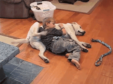 劲爆搞笑四十张图(第六期)