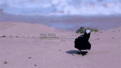 与大堡礁和乌鲁鲁齐名,是鲜为人知的澳洲最美小岛