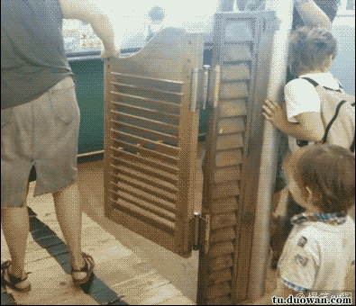 日本的女人确实耐扛,这样都受得了-笑话频道-手机搜狐