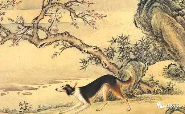 大相什么庭成语_雷什么大什么的成语
