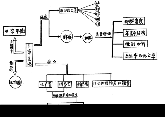 思维导图在生物当中的应用