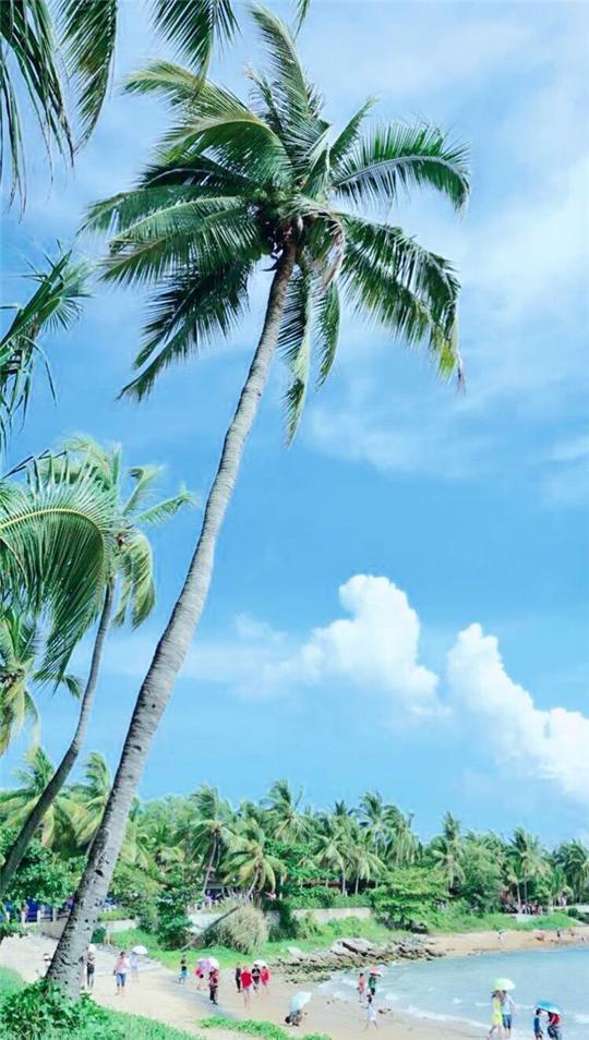 碧海蓝天,椰风海韵,阳光沙滩,交汇成浪漫的天涯.