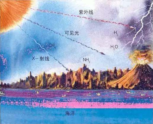 "陕军"研究震惊全球——人类始祖至亲竟长这样!