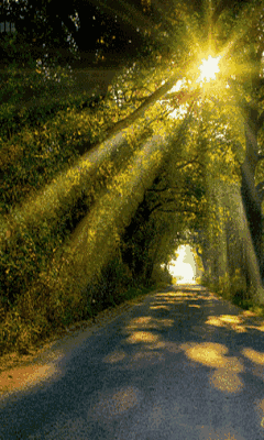 今日立春:从此雪消风自软,梅花合让柳条新
